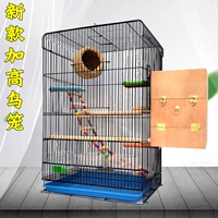 Tiger Parrot Bird Cage Batsu Bird Peony Flying Plus Plus