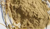 Китай Исследователь соломенной порошок риса соломы риса соломы риса порошка риса порошка риса 250g