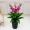 Hoa giả mô phỏng may mắn đầu phòng khách sàn mô phỏng nhà máy chậu trang trí nhựa cảnh vật trang trí tốt lành anthurium - Hoa nhân tạo / Cây / Trái cây cây giả