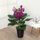 Mô phỏng đầu may mắn hoa giả lối vào phòng khách trang trí trong nhà anthurium tốt lành mô phỏng cây trồng trong chậu cây cảnh hoa nhựa treo tường