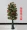 Mô phỏng Cây Kumquat Cây yên bình Trang trí cây giả Fortune Fruit Hoa giả Tầng hoa Cây xanh Nhựa Phòng khách trong nhà Nhà trồng trong chậu - Hoa nhân tạo / Cây / Trái cây