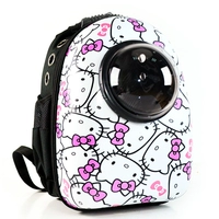 Розовое и белое маленькое лицо kt cat