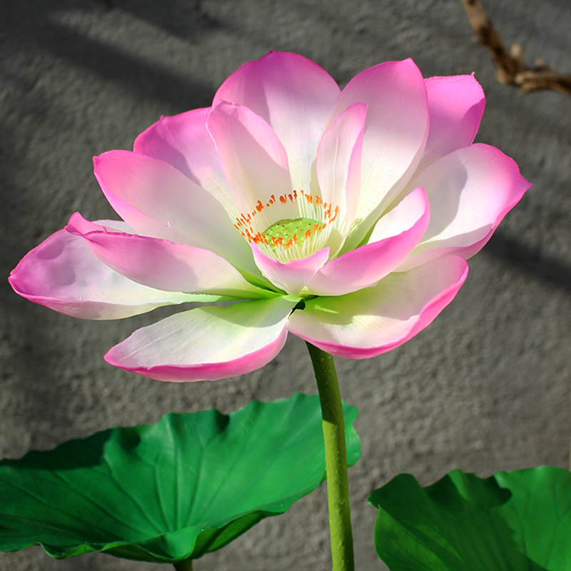 Lotus Leaf skirt Pink