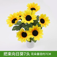 Золотое синее подпрыгивание Noburai 7 головы