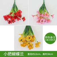 Светло -голубая малая ручка Phalaenopsis