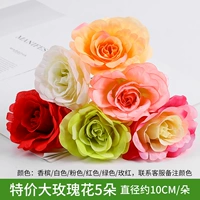 Синие специальные предложения 5 Big Rose