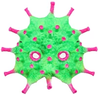 Красный зеленый