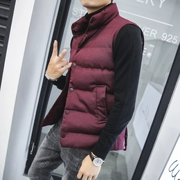 Vest nam mùa thu đông Phiên bản Hàn Quốc của xu hướng đẹp trai ấm áp vest dày vest nam xuống áo khoác cotton