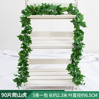 90 листьев, поднимающихся на горные листья тигра 1 упаковка [5 упаковка]