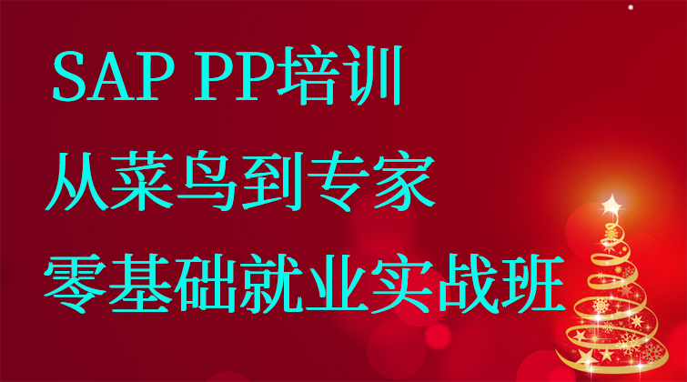 haima malala aotuo towin fuer aoer SAP PP视频课程
