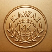 Dễ dàng sử dụng đàn piano phổ biến thương hiệu đàn piano mới Nhật Bản đàn piano kawai dễ thương đàn piano dọc Kawai ku - dương cầm