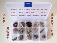 15 видов натуральных палеомантических подарочных коробок.