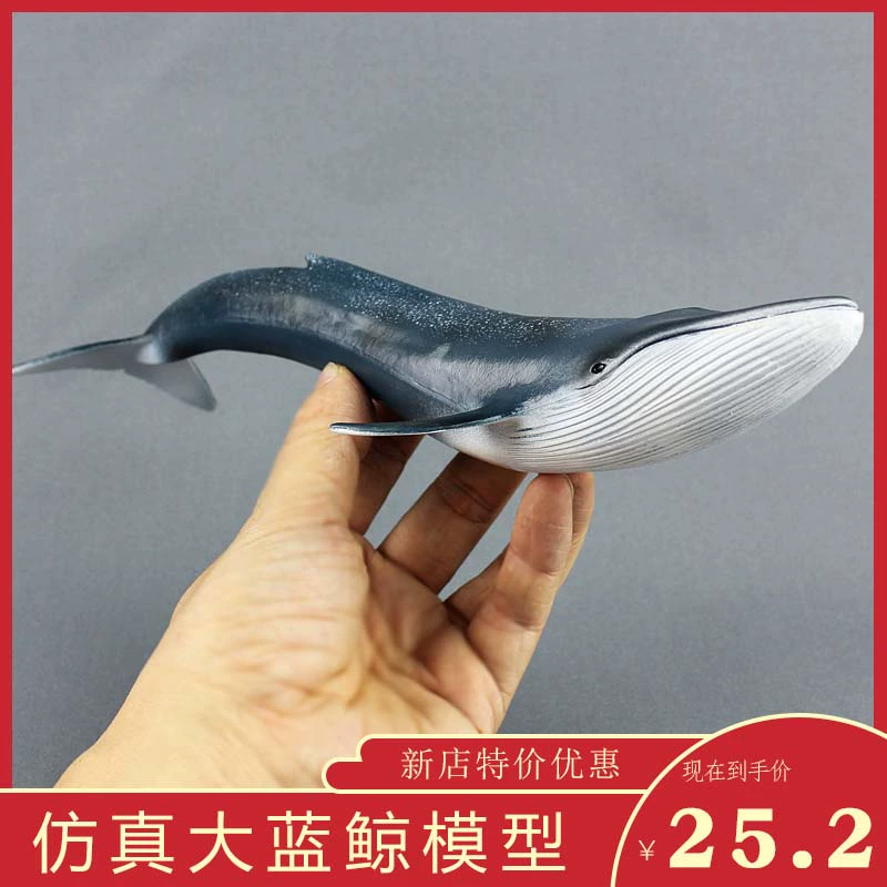 Mô phỏng cá voi lớn Động vật biển Cá voi xanh Mô hình Đồ chơi Nhựa Trang trí rắn Trẻ em Nam Câu chuyện dưới biển - Đồ chơi gia đình