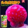 Товары от 爬宠乐园一娅娅