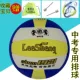 Игра VP52 с Volleyball+Rackpack 2 Air Beegle Coarp