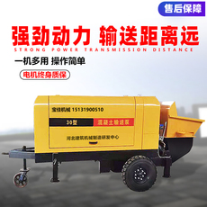 Бетононасос 小型混凝土输送泵二次结构泵混凝土浇筑地泵细石泵砂浆输送上料机