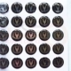 10 Чангана V