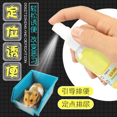 Маленький домашний хомяки кроличьи тоторо Голландский свинья позиционирует плохую плазменную крышку 60 мл продуктов