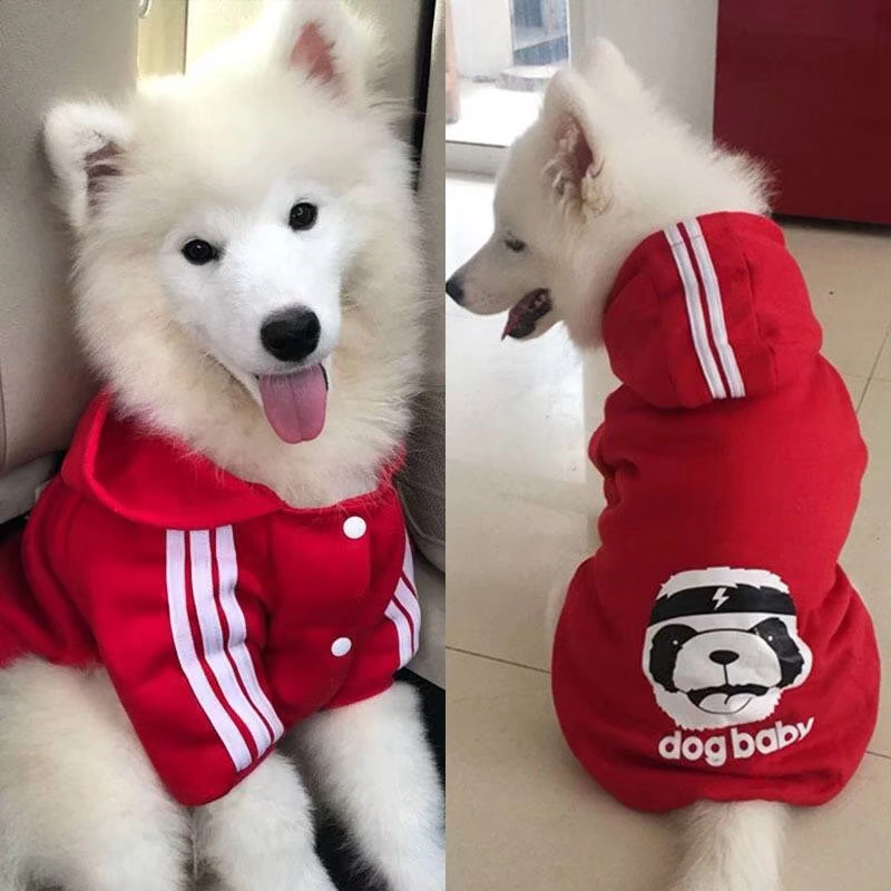 Big dog quần áo chó tha mồi vàng quần áo mùa thu và mùa đông Samoyed Husky áo len chó lớn trùm đầu hai chân áo bông thú cưng - Quần áo & phụ kiện thú cưng