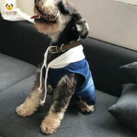 Quần áo chó Teddy chó nhỏ mùa xuân và quần áo mùa thu hơn gấu chiến đấu chó con hai chân denim vest quần áo thú cưng phần mỏng - Quần áo & phụ kiện thú cưng phụ kiện chó