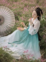 Zhong Lingji [Значение -значение сломано прозрачное прозрачное зазором] Bai Qing's Placket -Lip -Up Skirt 6 метров, вышитая весна и лето Hanfu