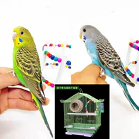 Зеленая кожа+голубая кожа+клетка птичья гнездо