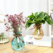 Wenzhu miệng rộng chậu nước gợn bó hoa hình trụ nhỏ thẳng trang trí dễ thương trống rỗng chai thủy tinh hấp bàn ăn - Vase / Bồn hoa & Kệ