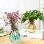 Wenzhu miệng rộng chậu nước gợn bó hoa hình trụ nhỏ thẳng trang trí dễ thương trống rỗng chai thủy tinh hấp bàn ăn - Vase / Bồn hoa & Kệ thùng trồng cây