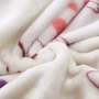 Flannel chăn lông cừu san hô chăn giải trí chăn mùa thu và mùa đông dày lên phương pháp tấm chăn Laiwu nap chăn Ưu đãi đặc biệt gia chan long cuu