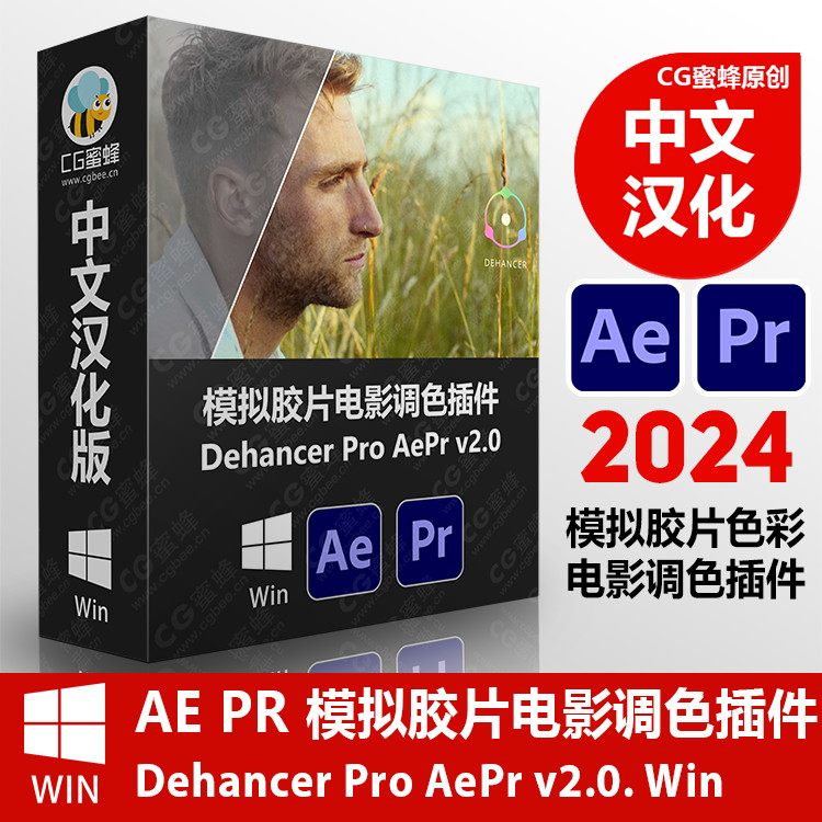 中文汉化Ae Pr模拟胶片电影调色插件Dehancer Pro Ae/Pr/PS/LR v2.0 win