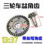Xe máy ba bánh lưu vực góc răng 13 đến 37 trục sau gói bánh răng Zongshen Futian tỷ lệ tốc độ sửa đổi lưu vực răng góc răng - Xe máy Gears Nhông xích
