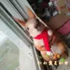 Товары от 七星九月3