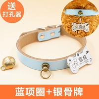 Лазурный чокер, домино