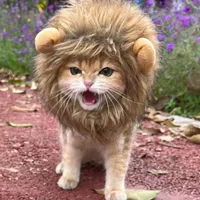 Рекомендуется Pippi Original Little Lion (3-15 Catties)