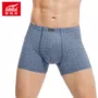 Đồ lót nam Fu Nilai thoải mái mềm mại in bông lỏng phần eo quần boxer 2 dải 1232 quần sịp nam muji