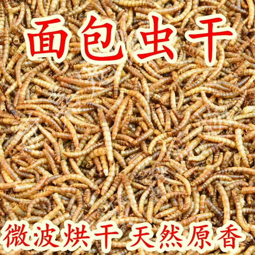 Птичья пища с кристаллом из кристаллического порошка сухой рисунок