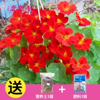 10 капсул Girin Lotus+Tu Fei