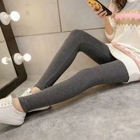 Mùa xuân và mùa thu mới cotton bên ngoài mặc quần legging nữ mỏng là quần mỏng cỡ lớn phiên bản Hàn Quốc của quần chín điểm - Quần tây thường quần ống rộng nữ