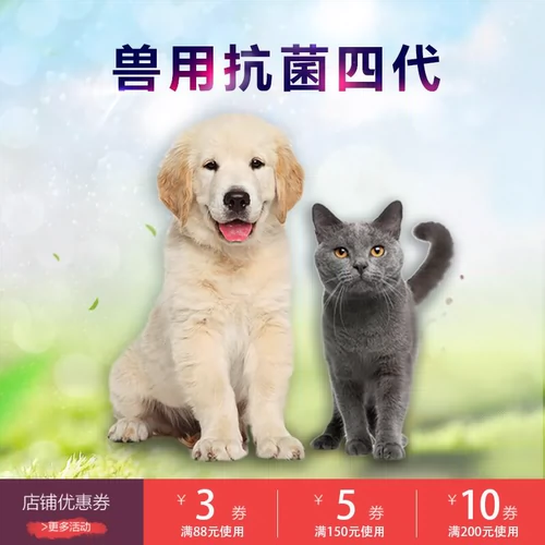 Hui Cepatoscopy Четвертая генерация домашних животных weatsaex wath -intralmanting игл и собак и кошка 50 мг убийства может быть доступно для 3