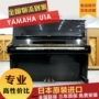 [Nam Kinh Yinchang] Đàn piano Nhật Bản gốc Yamaha U1A YAMAHA U1A U1-A Hamamatsu Nhật Bản - dương cầm yamaha p80