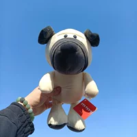 Песчаная собака