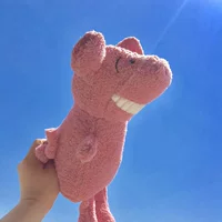 Новая свинья