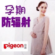 [憨 叔] Gia đình Pigeon phụ nữ mang thai phù hợp với bức xạ sợi kim loại