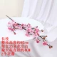 Changzhi Plum Pink