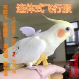 Птичья летающая веревка Тустороннее веревка Положите летающую веревку, соединяющую летающую одежду из птицы, наружная птица птичьего веревки, моча не влажная