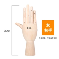 10 -Inch = 24 см = правая рука женщины