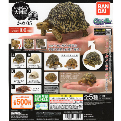 taobao agent There are goods Gacha Bandai Biological Biotech Turtle 5 simulation assembly can move turtle crocodile turtle turtle young turtles