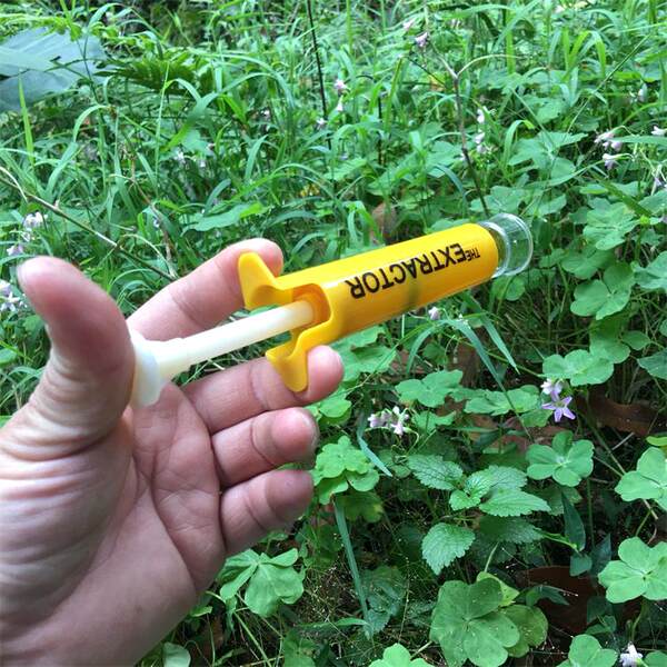 На открытом воздухе яд вакуум Возьмите ядовитую ядовитую ядовитую змею -токсичную насекомые укусить насос негативного давления аварийный Спасать