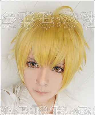 taobao agent Gilgamesh's young version of the young flashes of the wild, the snow sound cos wig cute