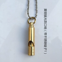 Новый зеркальный свет (с цепью 1)